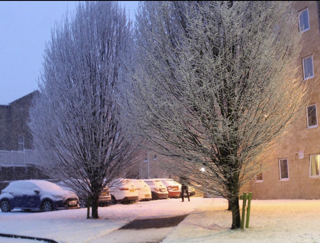 TheBrainLender's tweet photo. White spring ❄️ https://t.co/ZvaoVn3GAt