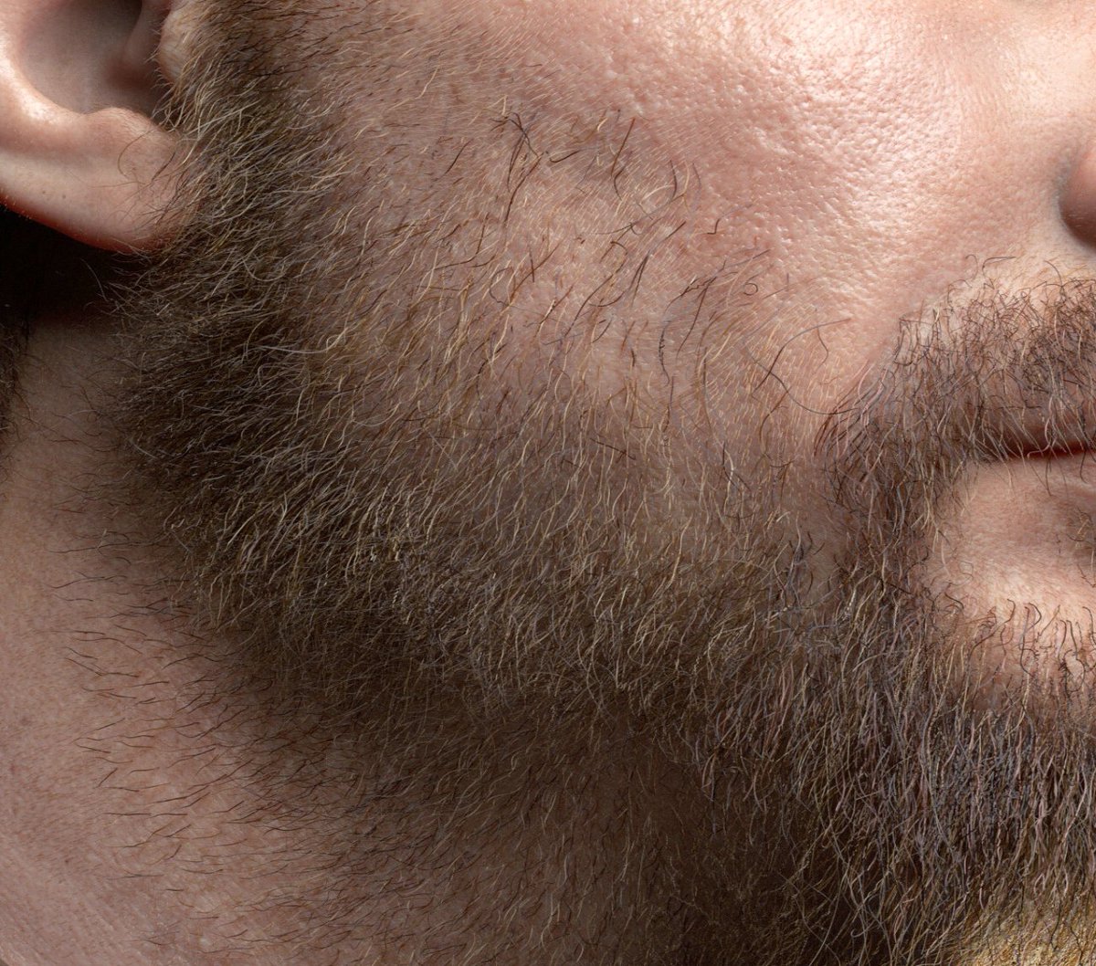 RylanWard5's tweet photo. 3D Realistic Male Character Modeling https://t.co/uAQ2mo8aAl