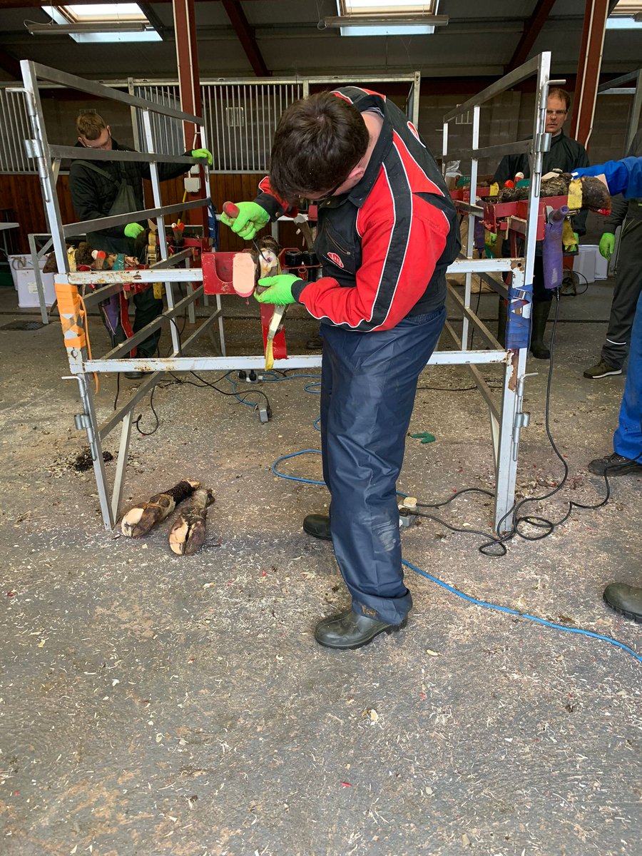 Advanced Ruminant Nutrition tweet media
