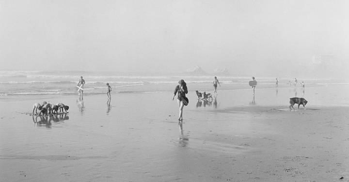 Henry Wessel, poeta de la luz dlvr.it/SMhVxf