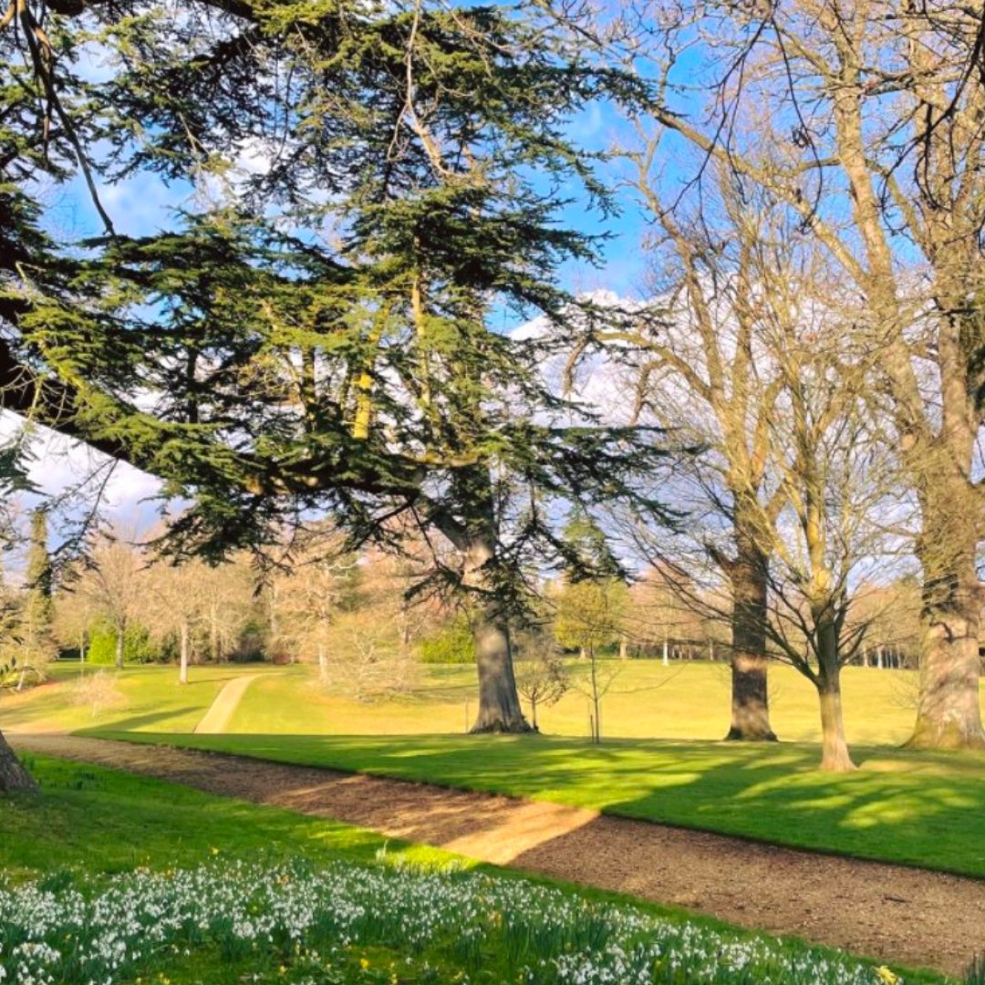 Bowood House Triathlon tweet media