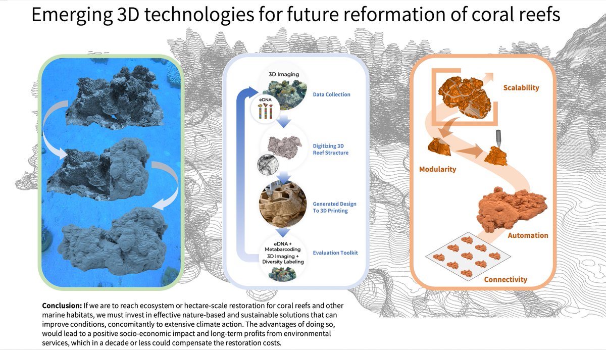 levy_lab's tweet photo. Nature provides us the tools to reform coral reefs using 3D technologies to help produce customizable, large-scale restoration methods - Check out our latest paper discussing our 3D interface concept! https://t.co/QGX8hOyETO https://t.co/IvMG35VtiJ
