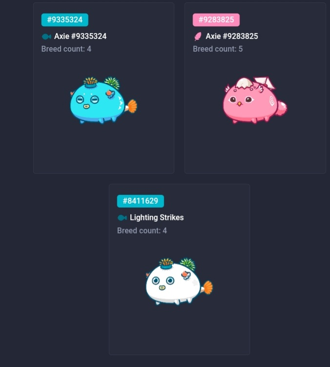 Patrick Mykle | SGS tweet media