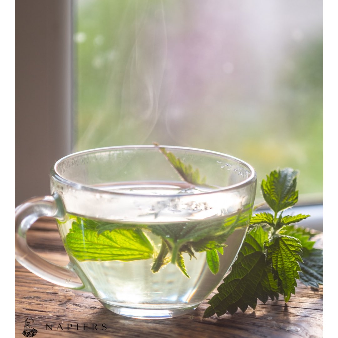 With its high protein and mineral content #nettles are nature's own #antihistamine helping to prevent #hayfever attacks. 
Hot and cold nettle tea and overnight cold infusions of freshly picked leaves work wonderfully well. Add dandelion leaves to aid #detox and for liver support.