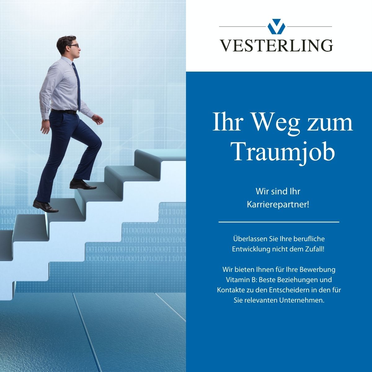Vesterling's tweet photo. Traumjob in der IT gesucht? Erklimmen Sie mit Vesterling direkt die Karriereleiter. https://t.co/Ln6JretVpo https://t.co/hv9zlYaWbs