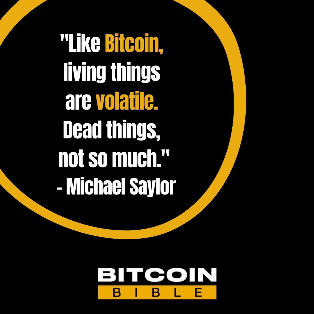 BitcoinBible_'s tweet photo. MicroStrategy CEO Michael @Saylor has taken a $205M USD loan to purchase more #Bitcoin. 

Thoughts? 👇 #BitcoinQuote #BitcoinInspo https://t.co/BmcJSoSuvU