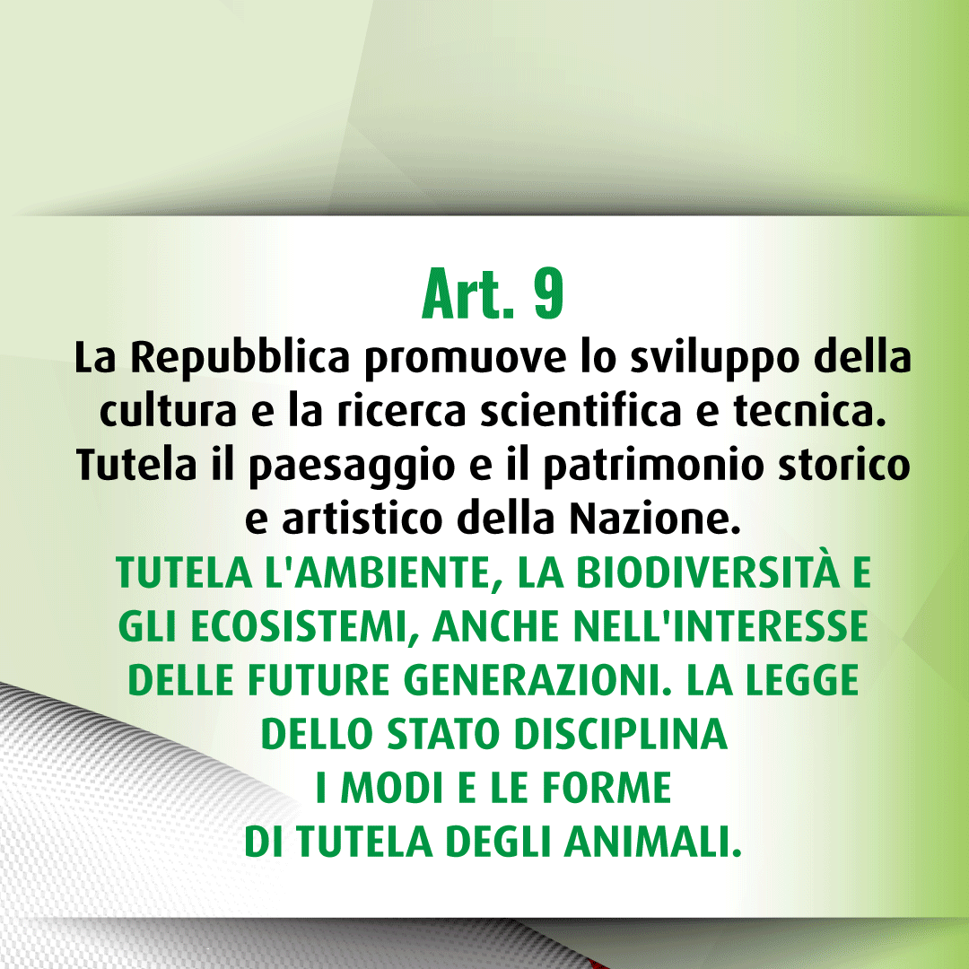 Notizie buone e sostenibili. La newsletter di Agenda 21 Est Ticino, Marzo 2022 - mailchi.mp/17be151364c6/n…