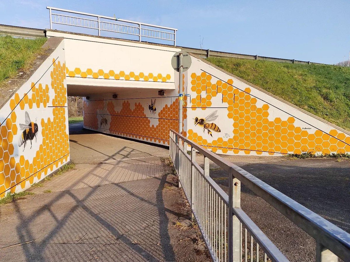 #Bee 🐝 zy in #Plymouth @beekeepingkids @BeekeeperTips @B_J_Sherriff @BeekeeperSimon @britishbee @BeeCraftMag @ClimateReality #subwayart #honeybees @BlackDogHoney @NFUtweets @BBCCountryfile @DevonWildlife @BeeFarmersAssoc