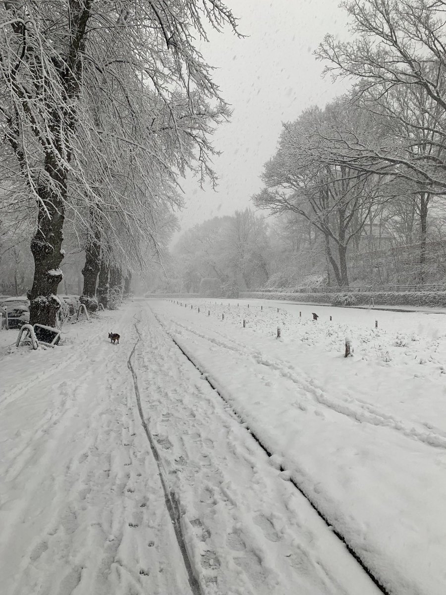 #winter #schnee #hamburg