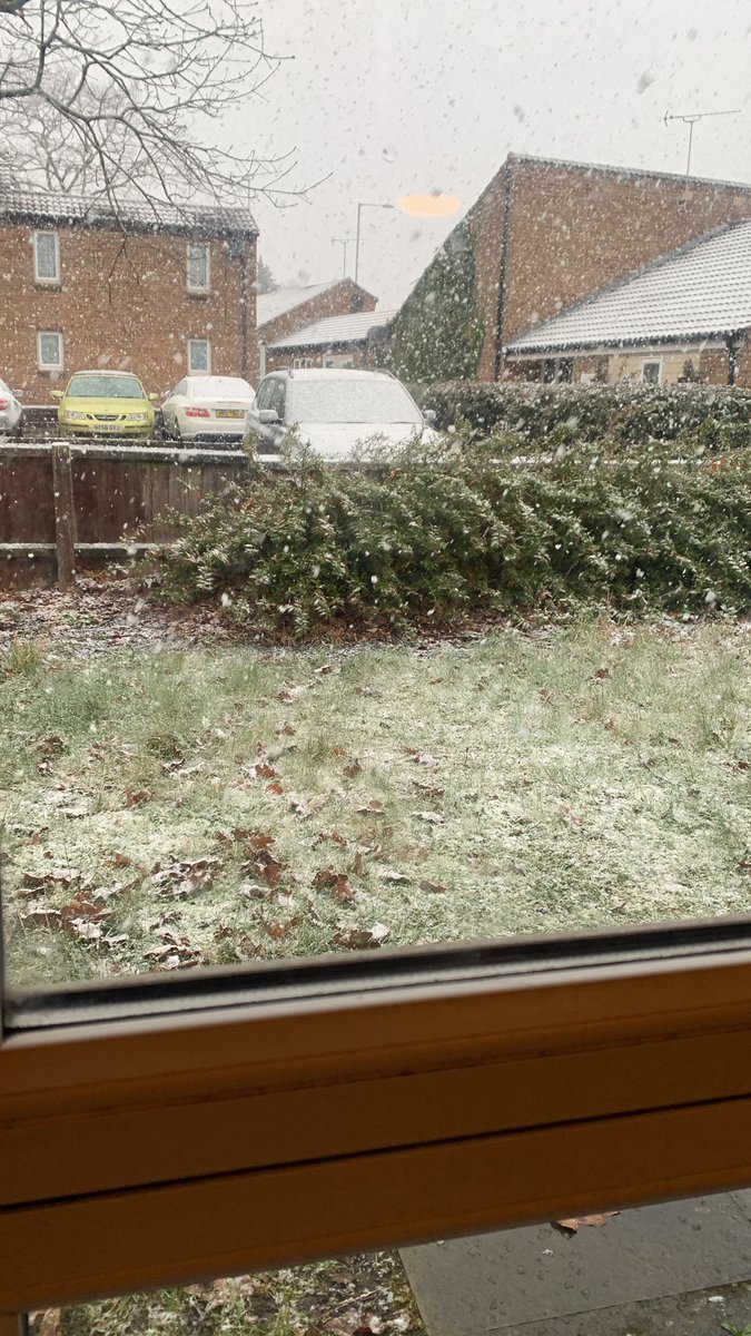 Courteney_Toon's tweet photo. I was making smoothies in the garden 2 days ago wtf is this https://t.co/QdUWGcmAVG