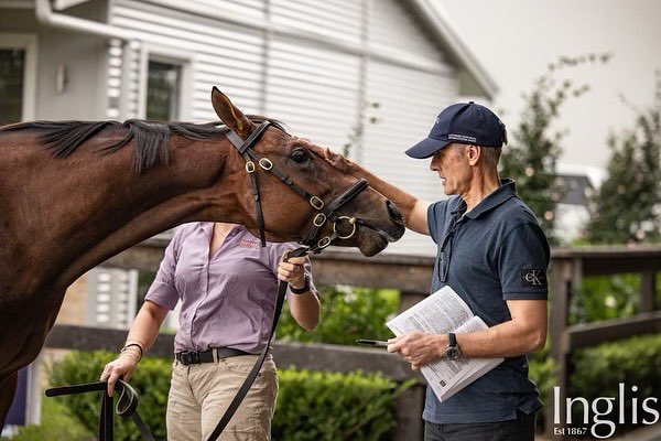 Bhima Thoroughbreds tweet media