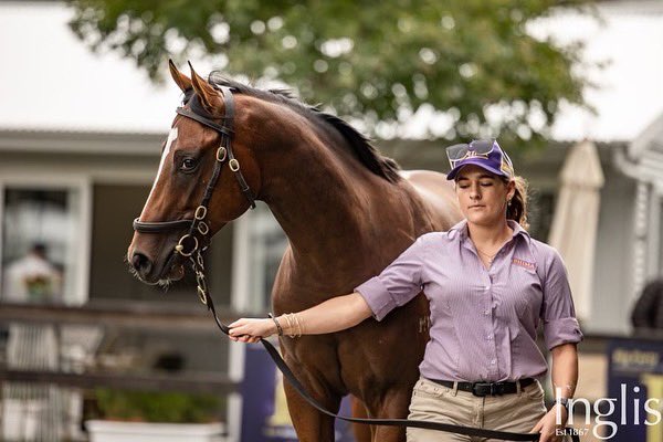 Bhima Thoroughbreds tweet media
