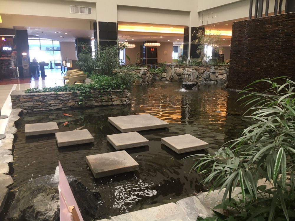 Anyone else very nostalgic for the embassy suites lobby gardens and koi ponds? Visiting the embassy suites lobby as a kid was better than rainforest cafe lol I miss it