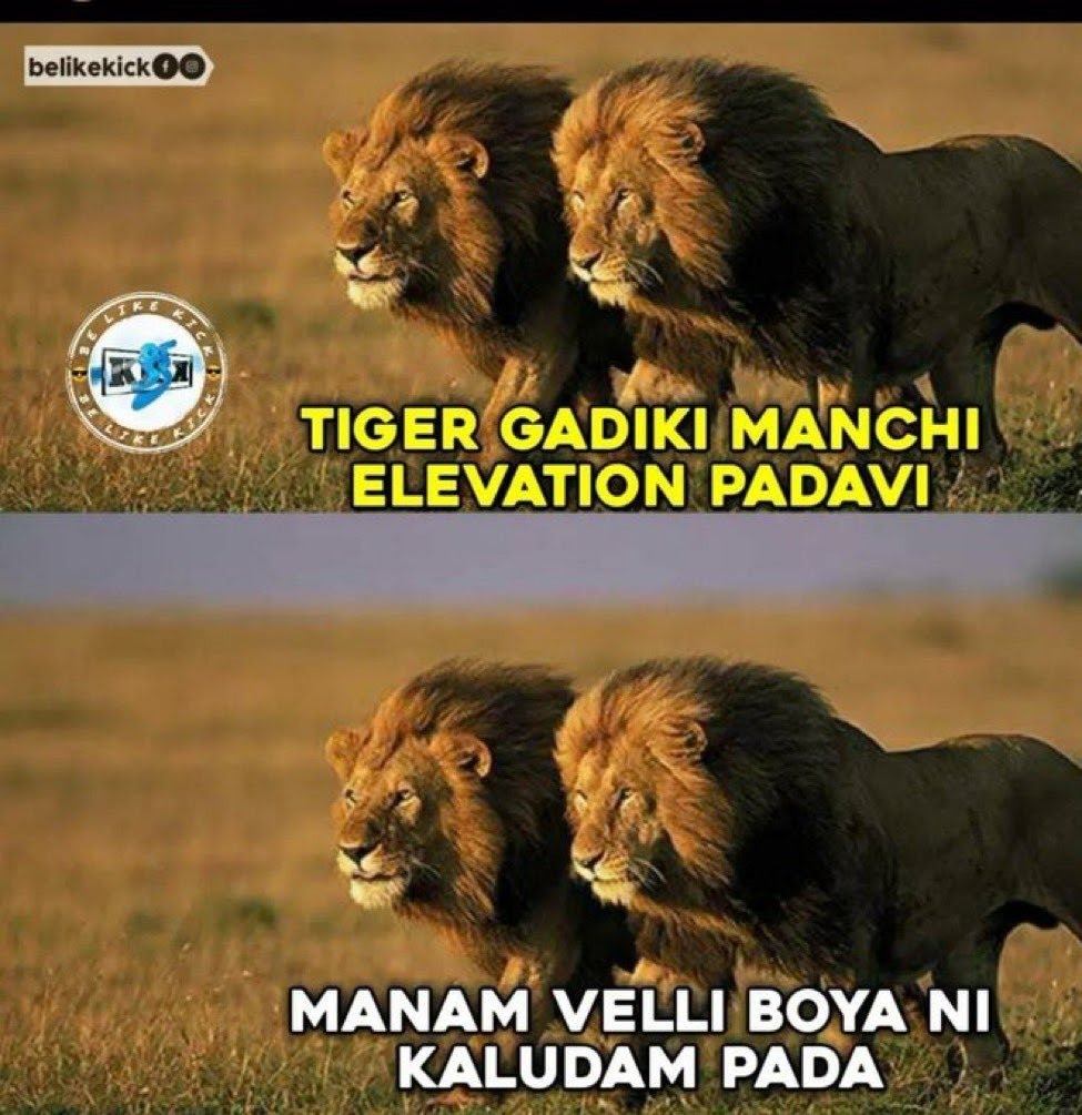 ANaldiga's tweet photo. Part-2

Raa bandekku meme is very relatable 😂🤣🤣

@tarak9999 @AlwaysRamCharan @ssrajamouli @RRRMovie #RRR https://t.co/QSH1eJ0hGE