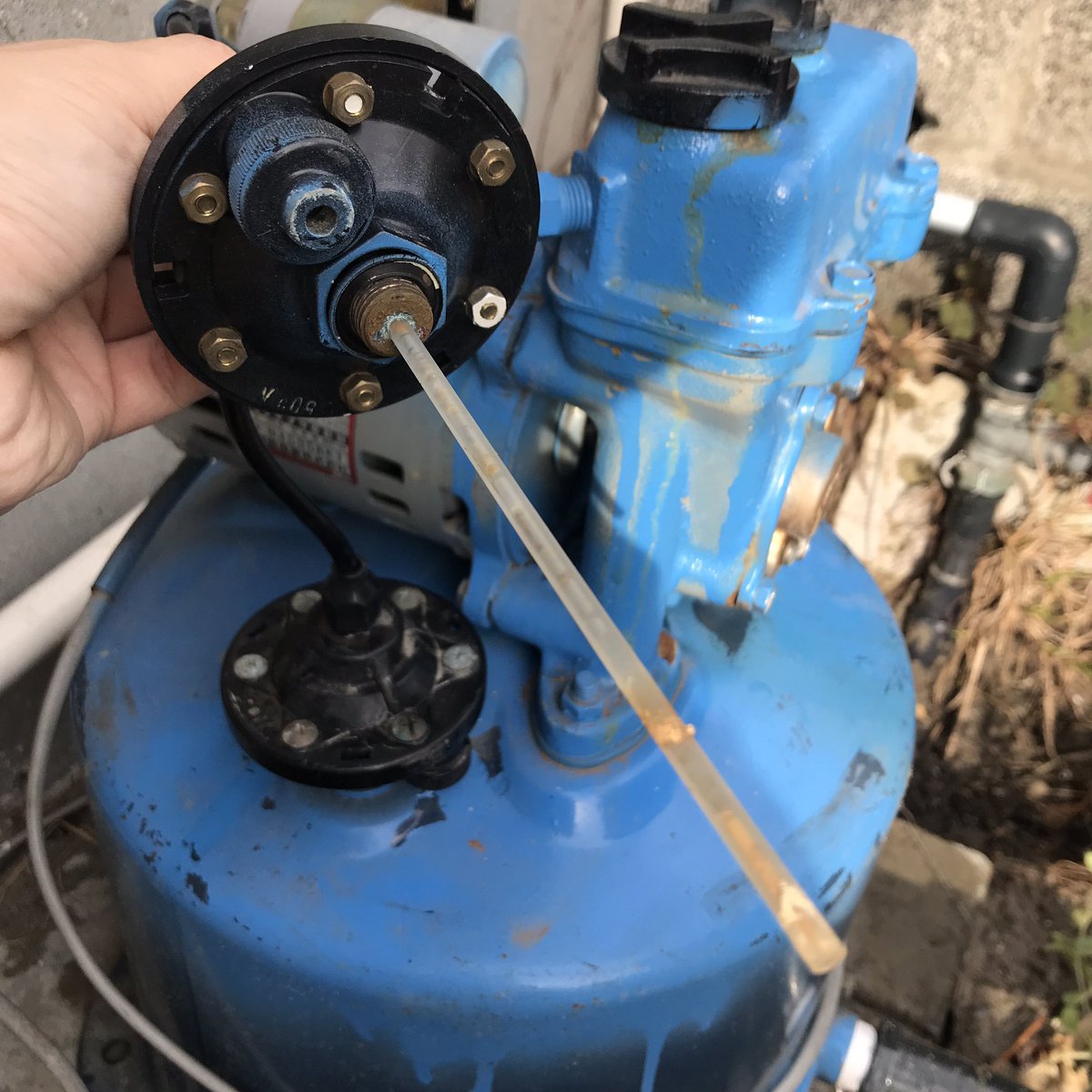 fineconetaro's tweet photo. 今日のDIY。頻繁にスイッチが入る井戸ポンプの自動空気補給装置(品番:PAV-C1711)交換。ポンプはナショナル製PG-138AU。40年前の機種だが、現在でもテラルからアフターパーツが出ていることに感謝。ギターではなかなかこうはいかないだろう。ヤマハあたりは物持ちがいいらしいけれど。ありがたい。 https://t.co/s9AXfFpwhV