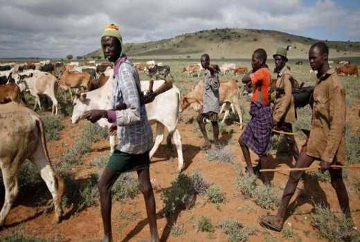 bamukyaye_p's tweet photo. We will Continue warning the Cattle rustlers to stop disturbing the peace of our Karamoja people.
#StopCattleRustling https://t.co/BcK4Lecqzj