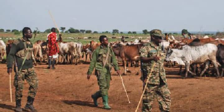 bamukyaye_p's tweet photo. We will Continue warning the Cattle rustlers to stop disturbing the peace of our Karamoja people.
#StopCattleRustling https://t.co/BcK4Lecqzj
