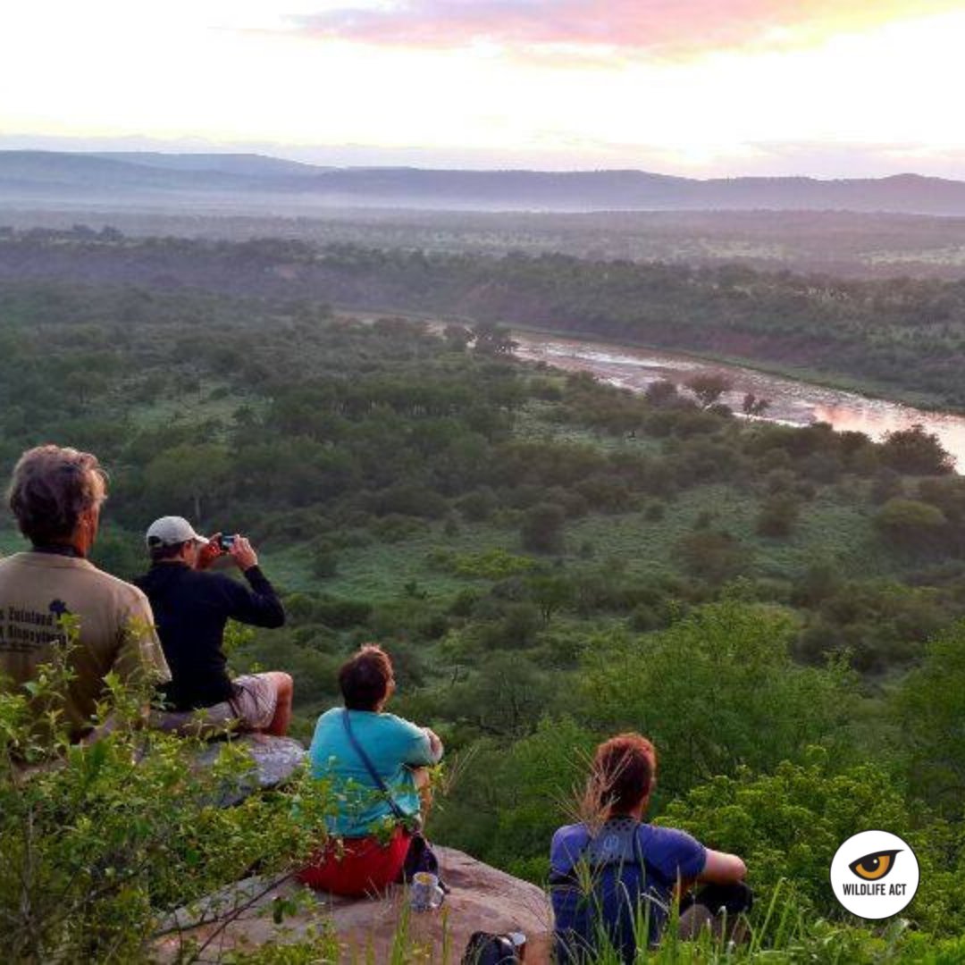 WildCollection_'s tweet image. Win A REAL CONSERVATION EXPERIENCE with @wildlifeact 

In celebration of the launch of @WildCollection_, @wildlifeact is giving away a 2 nights stay at 1 of their Wildlife Volunteer Projects in Zululand, KZN.

ENTER
Insta: tinyurl.com/2fnvtp4j
Facebook tinyurl.com/2p8sp5uh