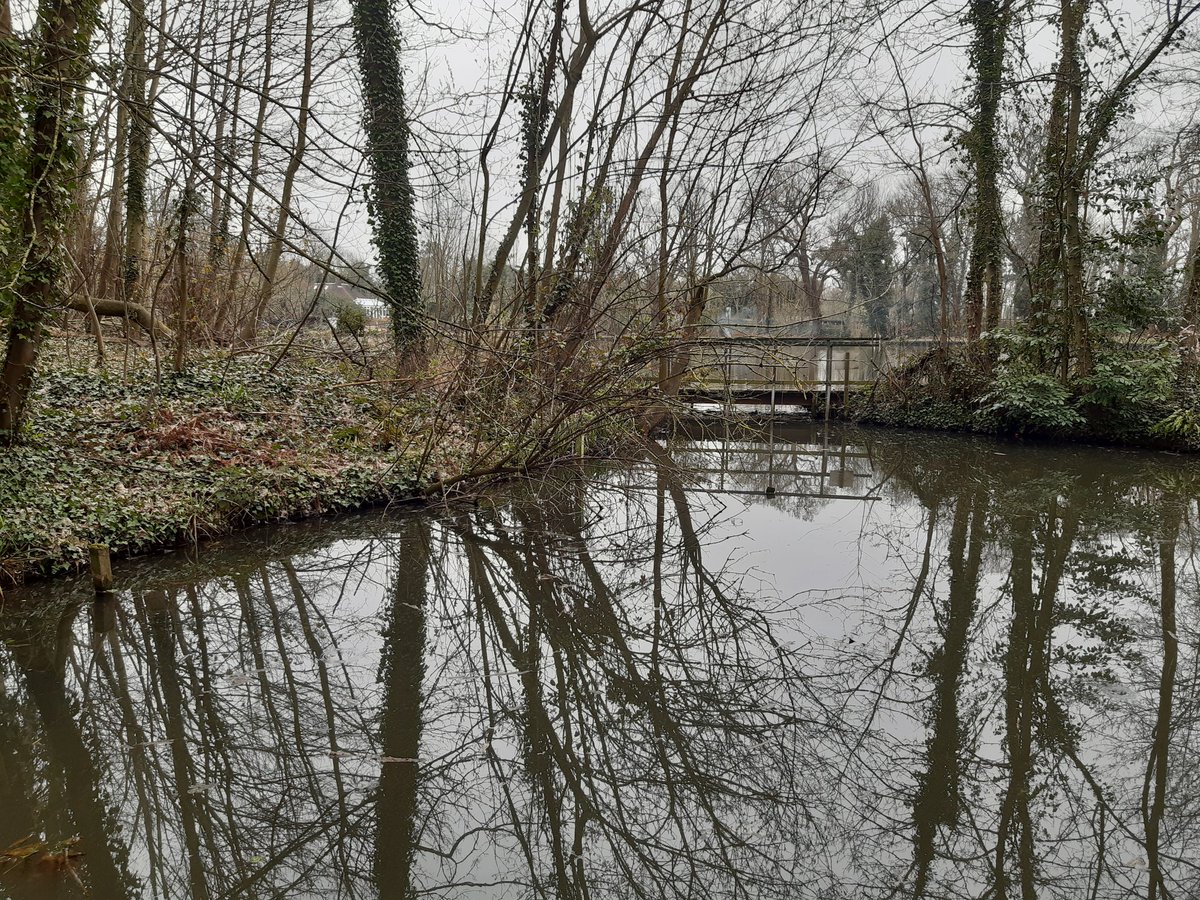 FryerningFrame's tweet photo. "Architects, Suffragettes and Anglers" exhibition at the #IFAC AGM last night, based around the #RedHouseLake #Ingatestone
(Dampening the net for a full presentation to #IFHAS in June)
Tightish lines. https://t.co/kYqNSBWT0e
