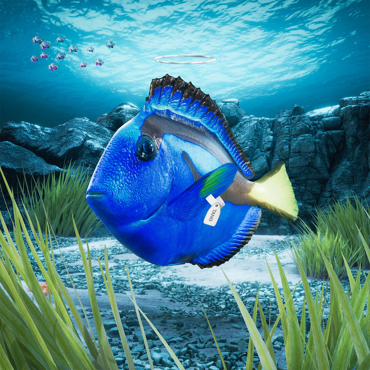 Fish #108 was just bought 🙌 Congrats to the new owner!

For JUST 0.60 SOL ($73.46) 💰

The Sea Floor is Rising!
solscan.io/token/7EXVPDFM…