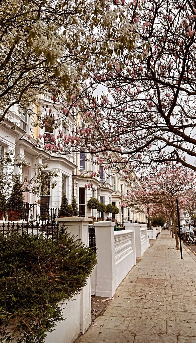 kensingtonmums's tweet photo. Good morning from beautiful corners of #kensington #myrbkc #mykensington https://t.co/Wj0JF8EYw7