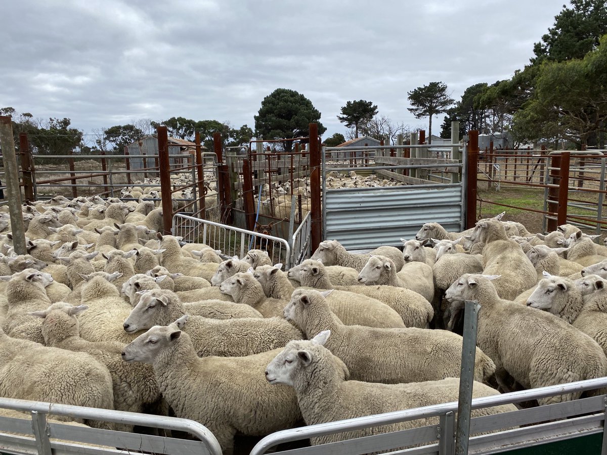 Tim Buck tweet media