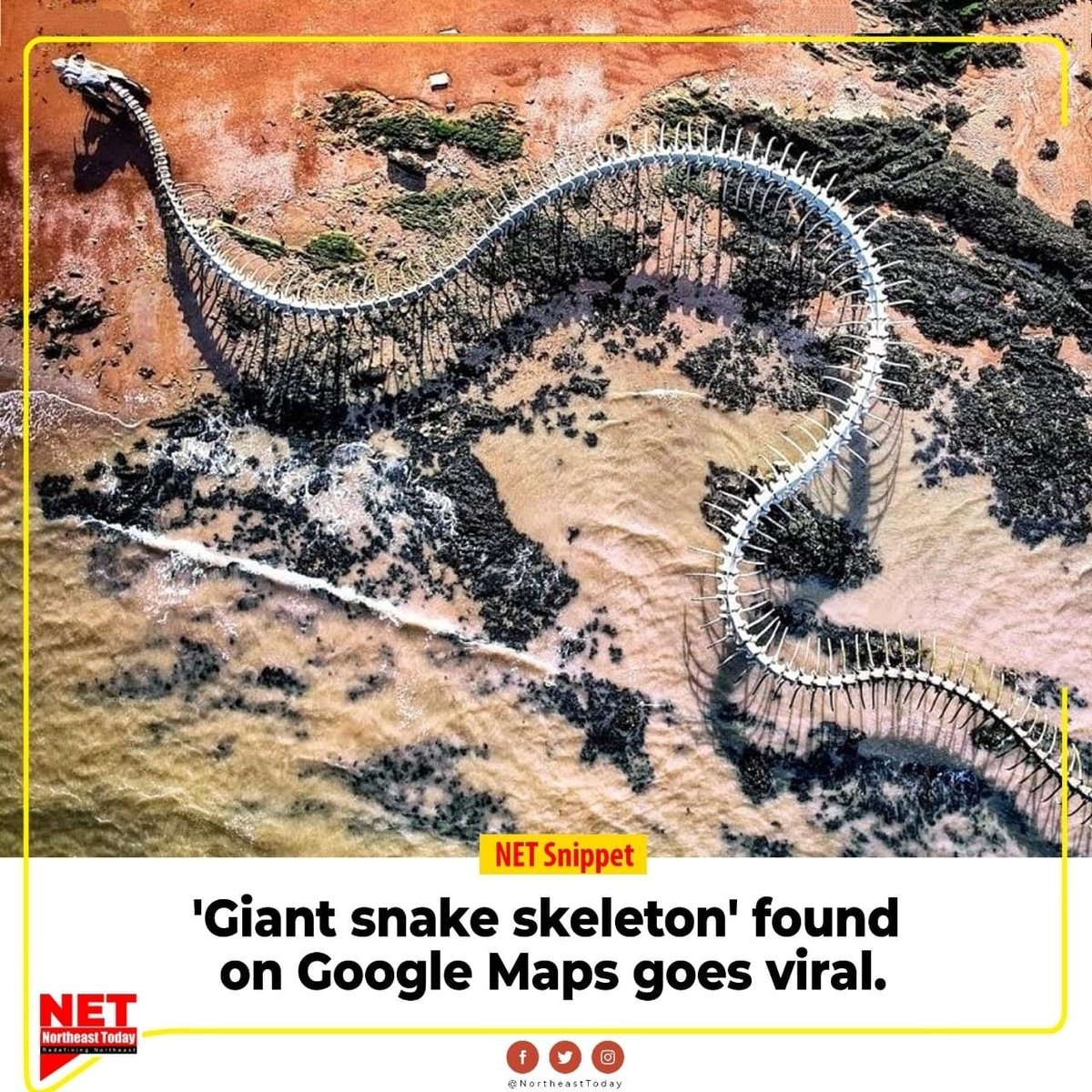 Viral Video: Giant Snake Skeleton Spotted in France on Google Maps. Is It  Real? Watch.