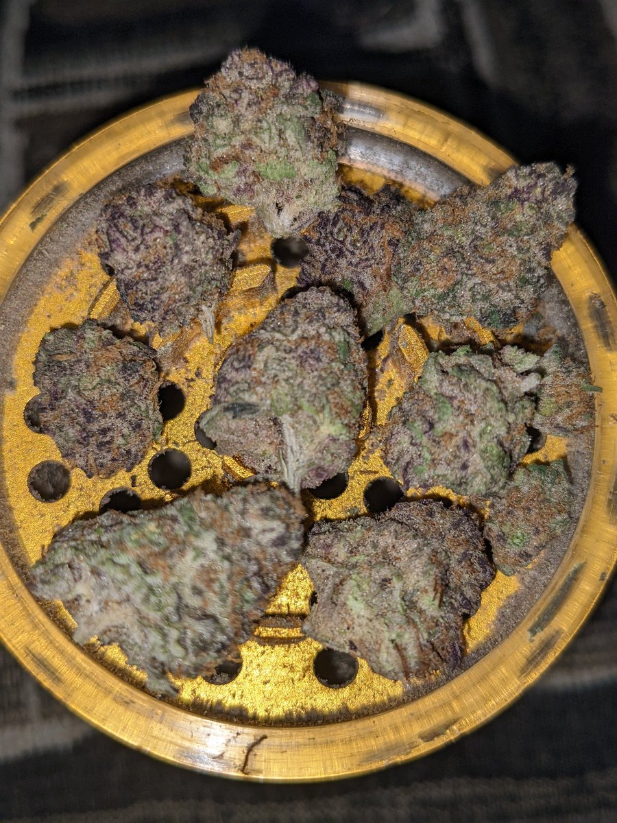 gg_genetics's tweet photo. #GreenGuyGenetics
brings back some 🔥🔥 with this one.
Sometimes it's good to just sit back and relax and enjoy the view #WildTrain
Breaks the grinder today so we asking #WhatsInYourGrinder ??
#420Community #CannabisCommunity #420Friendly https://t.co/2OwwgysmKV