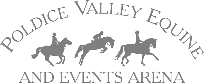 Showing Scene tweet media