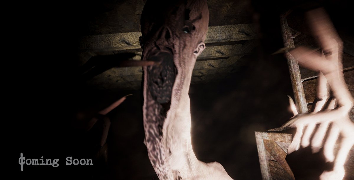 SolitaryStudios tweet media