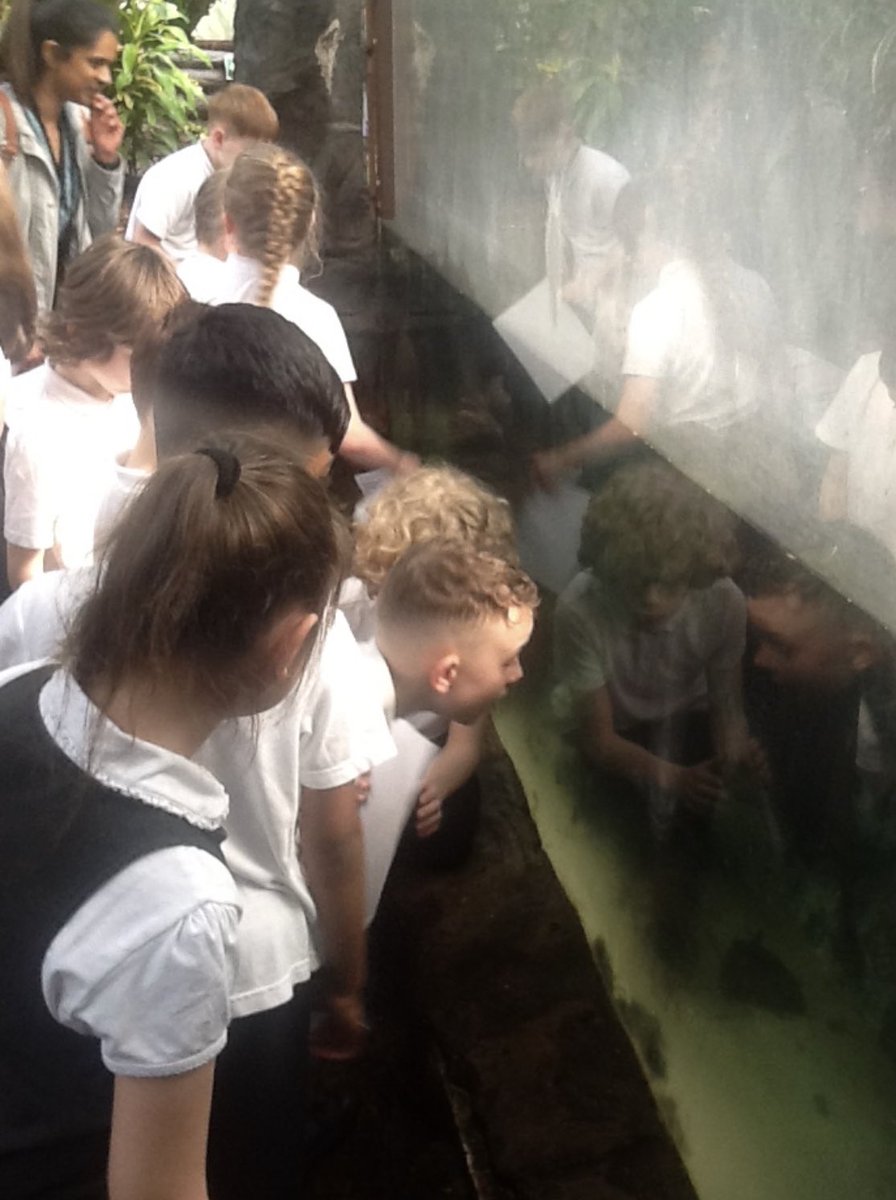 What an What an incredible day for Year 4 at The Living Rainforest!  We learned so much about the different animals and plants! #animalsandplants #naturalworld #TividaleHallsTrips