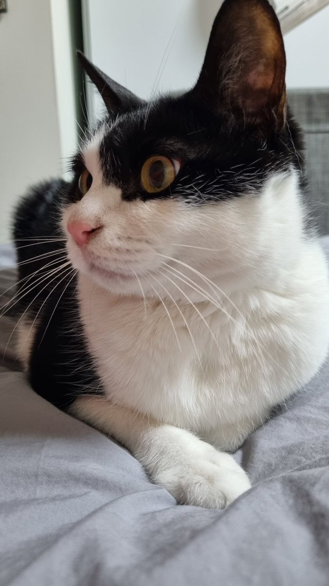 생긴 건 늠름하고 성격은 겁 많은 우리 완꾹이