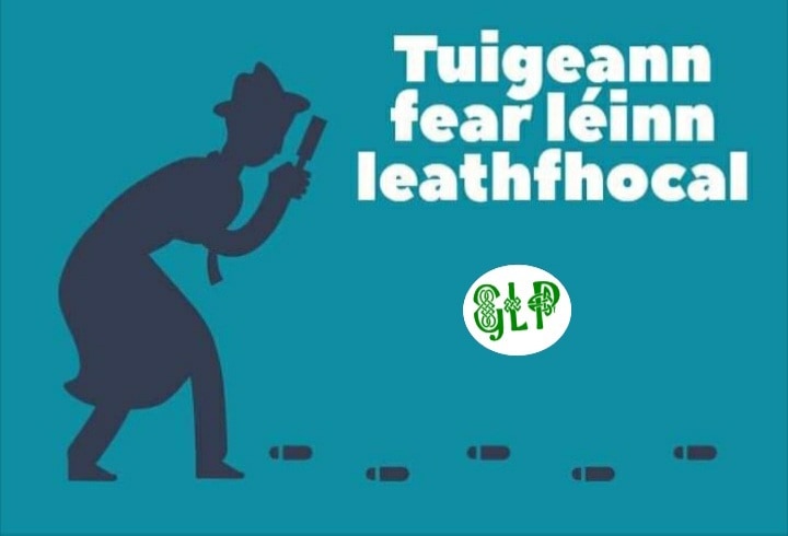 Tuigeann fear léinn leathfhocal #staidéar #múinte #cliste #bleachtaireacht #tuiscint #saineolas #seanfhocal #gaeilge #gaeilgelepád #glp