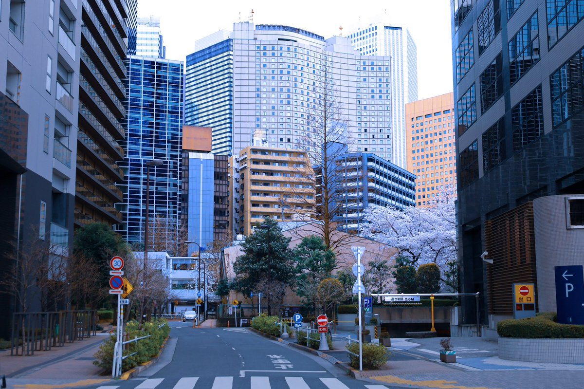 rp_eos's tweet photo. なんか、すき。
私の写真は、素人がただ撮った写真だけど、一枚一枚に好きな人との会話や思い出があるので、唯一無二の写真なんです。
#写真好きな人と繋がりたい https://t.co/Aa9UjLQ1GS
