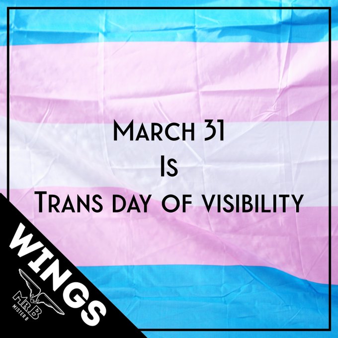 March 31st 
is 
TRANS DAY OF VISIBILITY ?????

Take a look at some of the amazing trans folks we’ve had