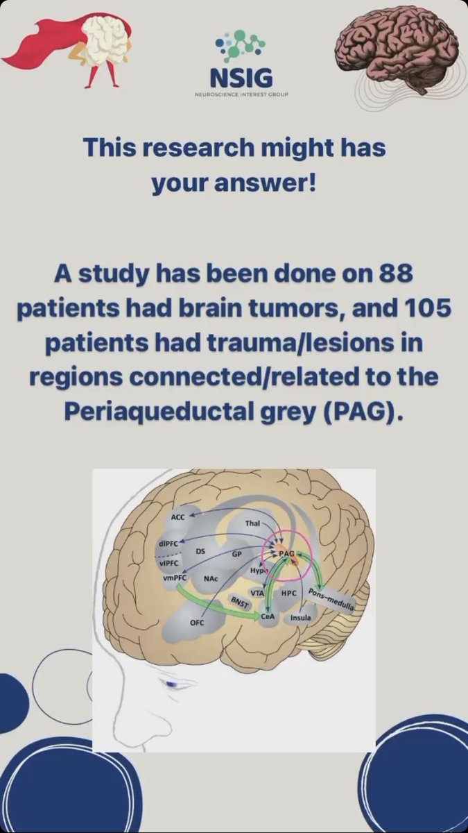 Neuroscience Interest Group tweet media