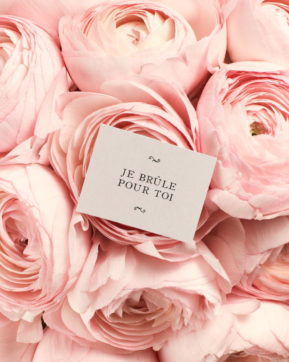 NetflixFR's tweet photo. 💐🐝💐🐝💐🐝💐🐝💐🐝💐 https://t.co/Xzhzp7m6Hz