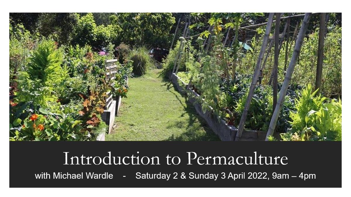 Up to much this weekend? Spend it with us! 

Our two day Introduction to Permaculture course will give you the basics you need to apply permaculture principles to your everyday life.  

No experience necessary, limited spots available!

ow.ly/5UZW50IwLYU