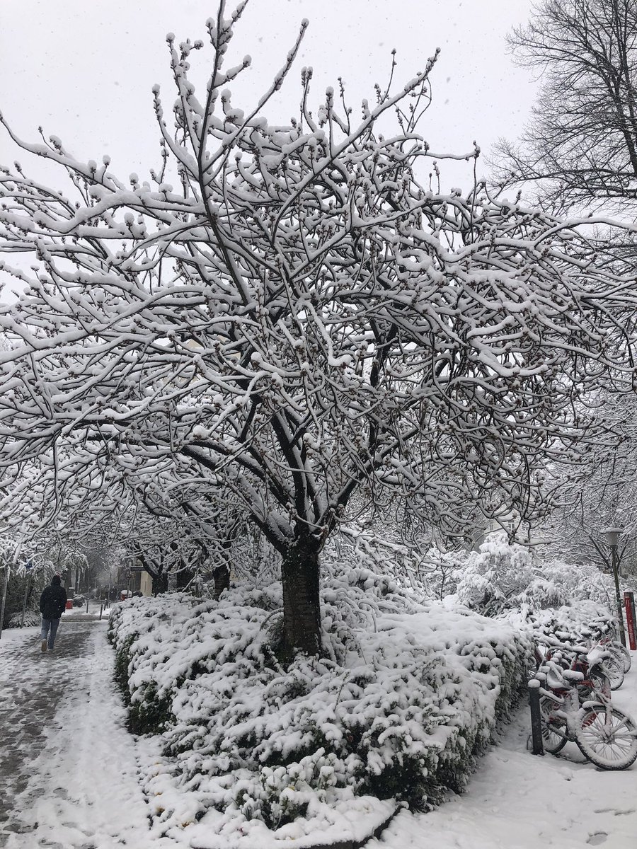 ManjaSHH's tweet photo. @Kachelmannwettr #Schnee #Hamburg https://t.co/6bvQAYtUPo