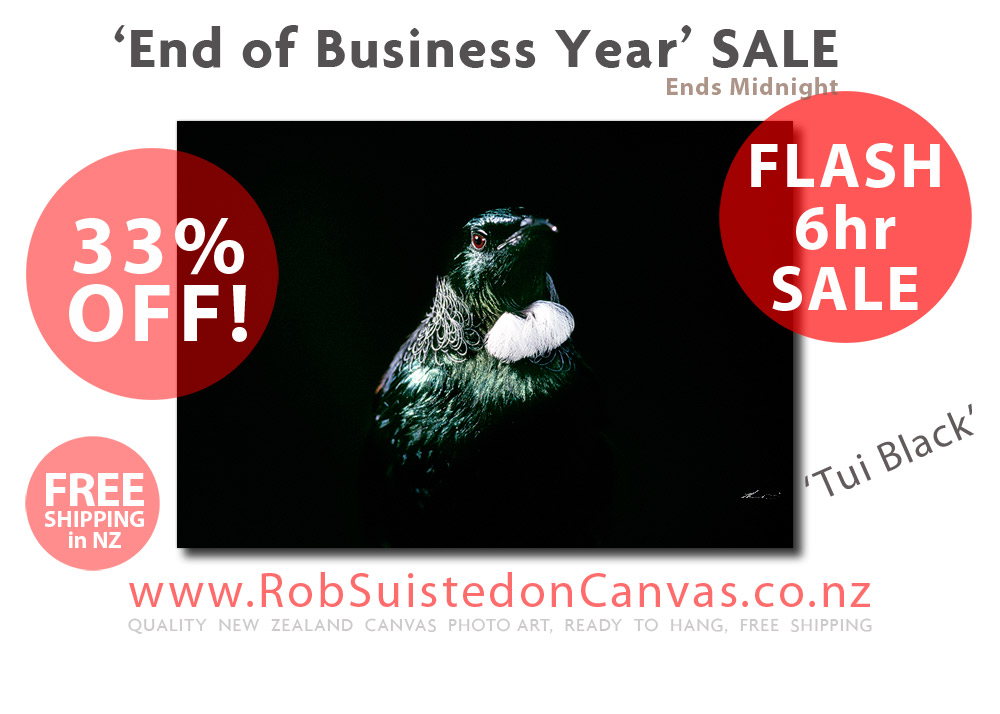 RobSuisted's tweet photo. 3 hours left to make your choice from our highest discount flash sale yet. Ends midnight https://t.co/VYG2dx6aXc https://t.co/j3meJbqepg