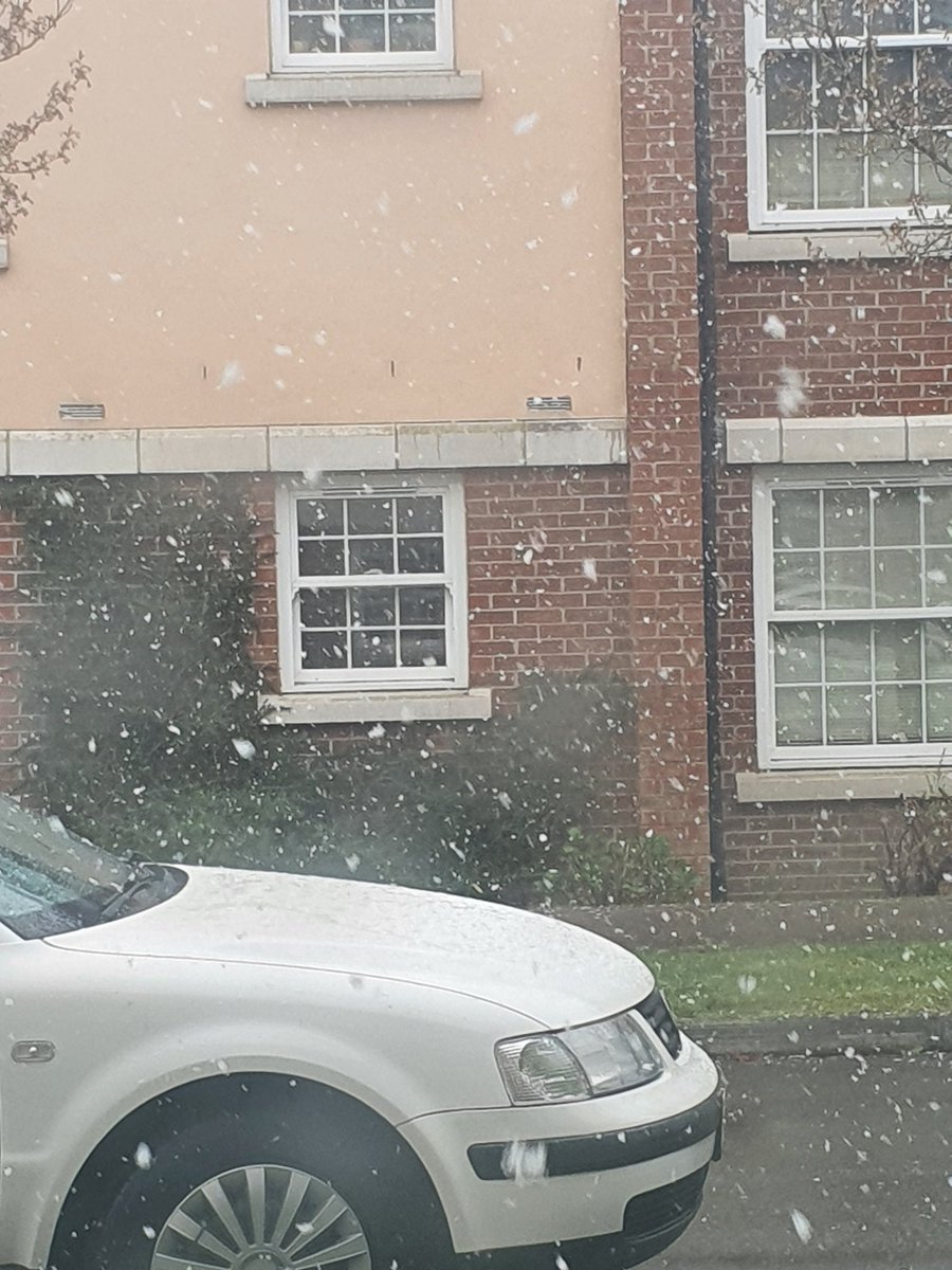 _NiceButDim's tweet image. Snow!