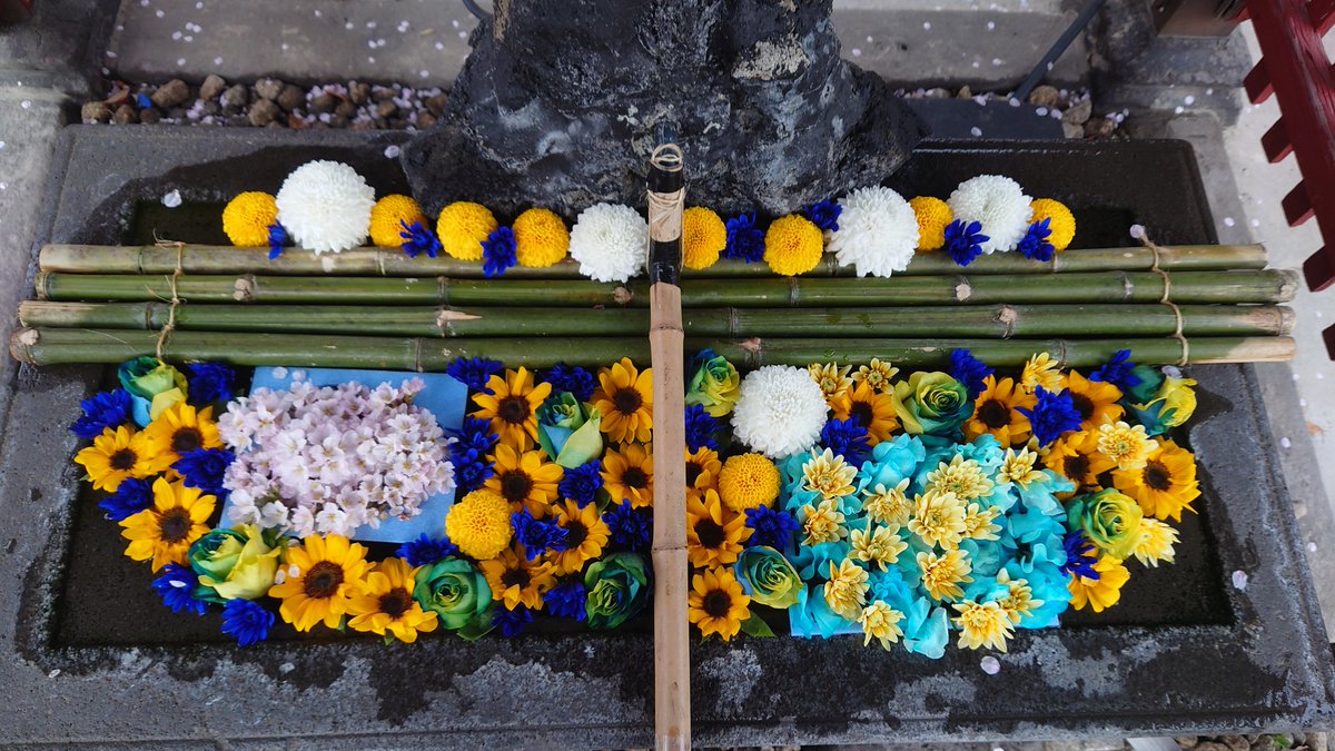 ４月の花手水です ウクライナの平和を願って ウクライナカラーでお願い致しましたところ ウクライナの花 ひまわり 黄色と青に染められた薔薇まで飾って 下さいました 荒川区 荒川区民ニュース