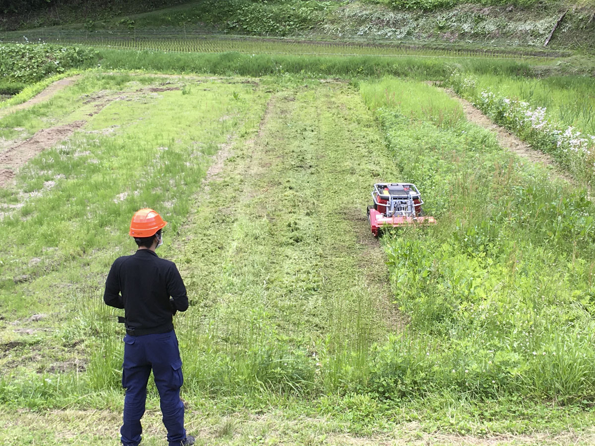 shingushokomach's tweet photo. TIMAN RC-1000を使用し、上から見下ろしながらの草刈りは、作業状況が一目で見渡せるので効率が良いです
刈り跡がまっすぐで綺麗！

#RCシリーズ
#ラジコン
#リモート
#安全
#安全第一
#作業効率
#おすすめ
#ヘルメット
#ハンマーナイフ
#フレールモア
#茨城
#林業
#農業
#山林
#畑 https://t.co/abwXQFmd4C