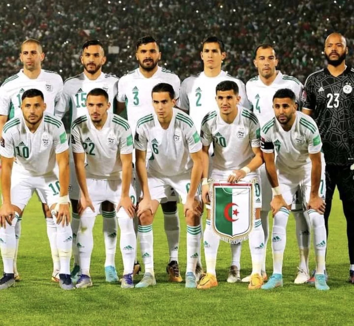 DCODED TV Show tweet media