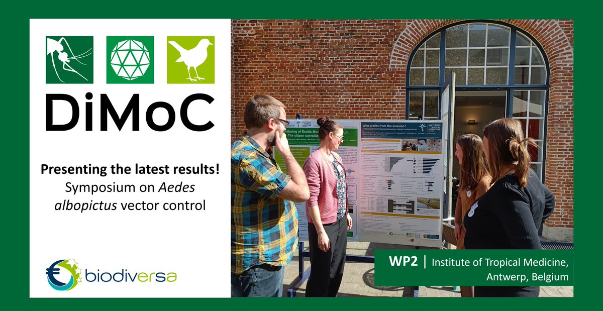 DiMoC (@dimoc11) on Twitter photo Informing stakeholders and scientists about our research via the #Aedesalbopictus #vectorcontrol symposium organized <a href="/ITMantwerp/">Institute of Tropical Medicine Antwerp</a>.
Meanwhile preparing our #DIMOC collaboration with @BNITM_de and upcoming training in Vector Competence via the <a href="/aedescost/">aedescost</a> STSM grant.
<a href="/BiodivERsA3/">BiodivERsA3</a> Informing stakeholders and scientists about our research via the #Aedesalbopictus #vectorcontrol symposium organized <a href="/ITMantwerp/">Institute of Tropical Medicine Antwerp</a>.
Meanwhile preparing our #DIMOC collaboration with @BNITM_de and upcoming training in Vector Competence via the <a href="/aedescost/">aedescost</a> STSM grant.
<a href="/BiodivERsA3/">BiodivERsA3</a>