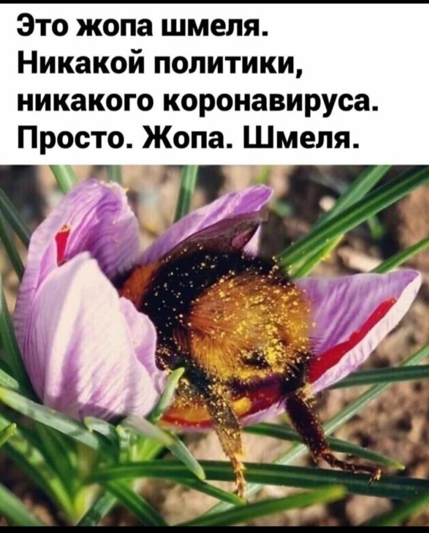 Ирина Гончарова (@v_porimma) on Twitter photo 