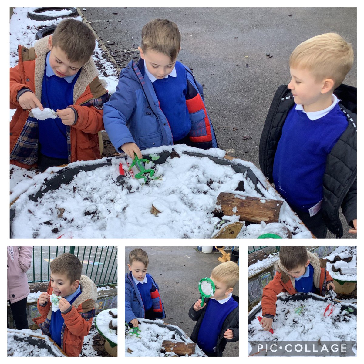 IPMATAshGrove's tweet photo. Spontaneous learning in EYFS this morning βοΈβοΈβοΈ
The minibeasts are trapped in the ice!
The boys are using different senses to explore the ice and working together to release the bugs!
#SpontaneousLearning
#UnderstandingTheWorld https://t.co/Q6TxBRQBal