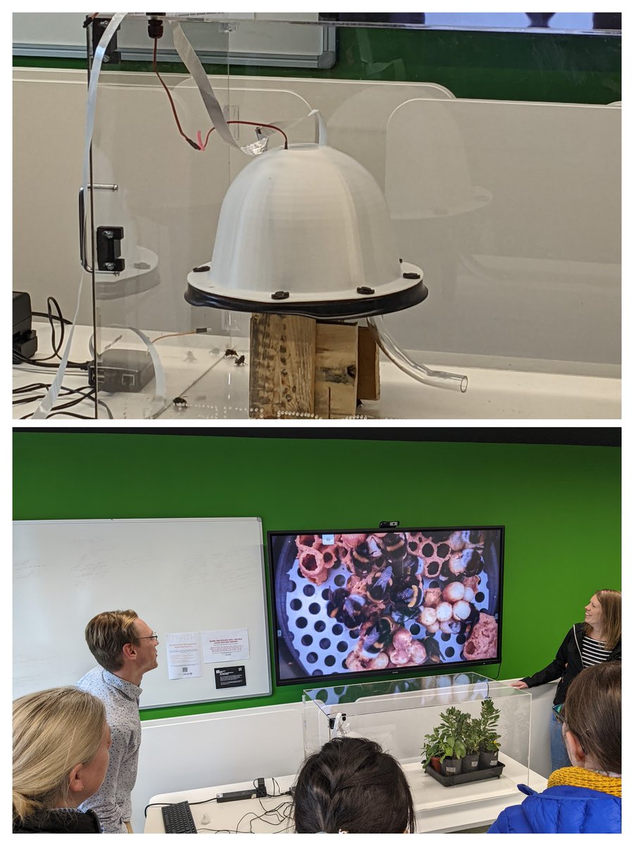 jan_e_grabowski's tweet photo. This hybrid event included the première of BEEBOX v2, brought along by @bees_n_nozzles (@LancsUniLEC) and @JennyEngineer (@LancsUniEng). A fantastic and fascinating addition to @LancsUniSciTech Science Week - bumblebees in the @LancasterUniLib! #LUScienceWeek22 @LancasterUni https://t.co/vq5KqXx9yf