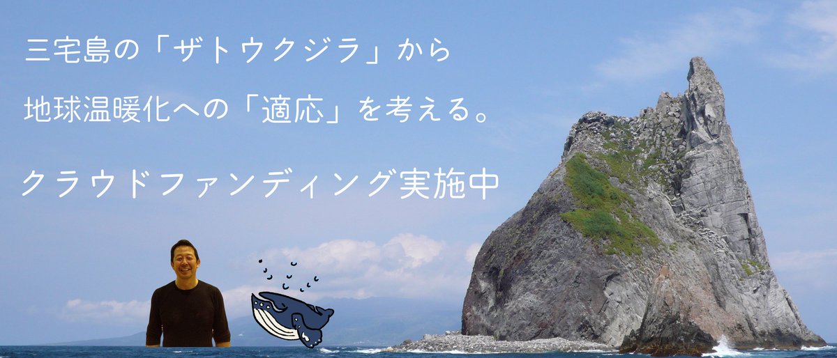 eol_kamioka's tweet photo. 三宅島クジラプロジェクトのクラウドファンディングが始まりました。

三宅島の近海で増え始めたザトウクジラを通して気候変動への適応を考えていきます。

どうぞよろしくお願いします。

https://t.co/z7d0SWPKvh https://t.co/ENZ0Qo8ezF