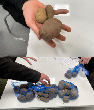 Linlithgow Chemistry (@linacchemistry) on Twitter photo The potatoes are on their way home, 3 different varieties which will give the best crop?
<a href="/Linlithgow_Acad/">Linlithgow Academy</a> <a href="/DandelionScot/">Dandelion</a> <a href="/LAEcoSchool/">LA Eco Schools</a> The potatoes are on their way home, 3 different varieties which will give the best crop?
<a href="/Linlithgow_Acad/">Linlithgow Academy</a> <a href="/DandelionScot/">Dandelion</a> <a href="/LAEcoSchool/">LA Eco Schools</a>